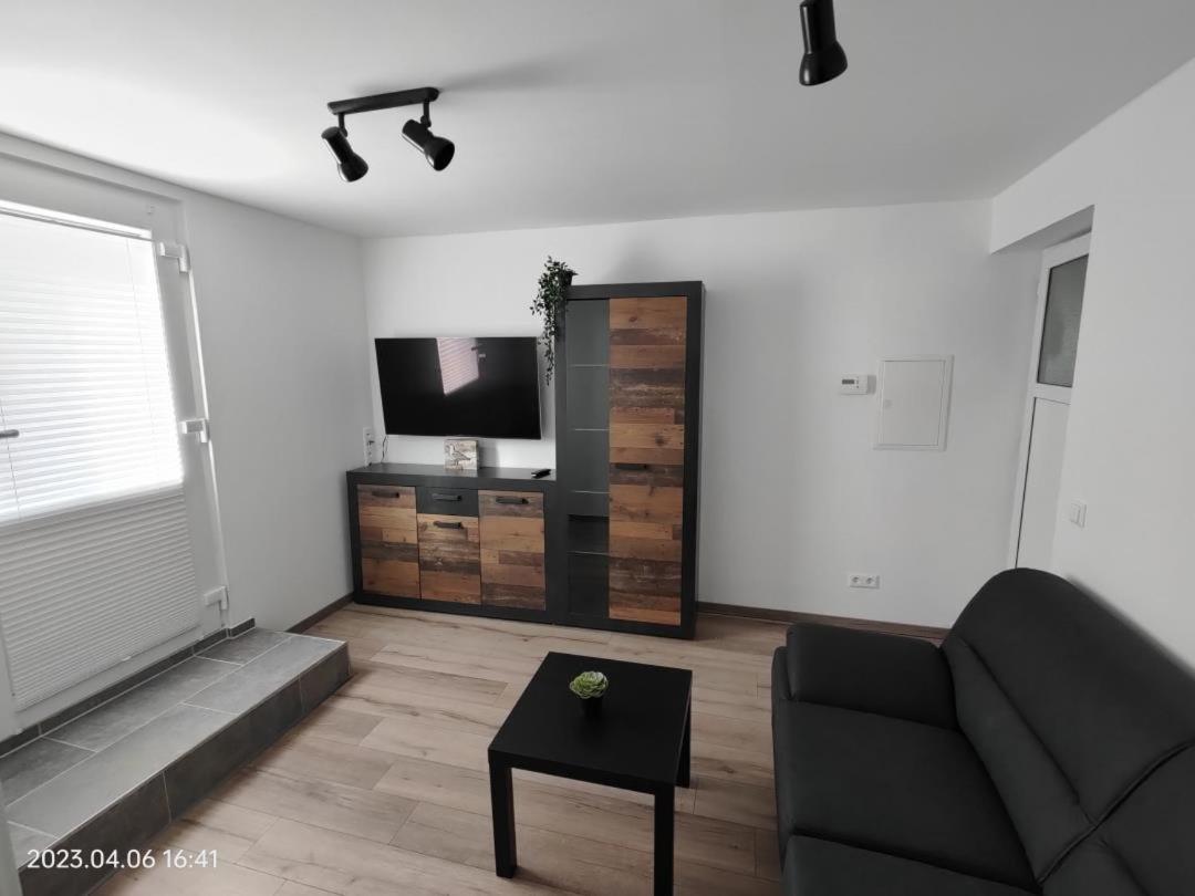Ferienwohnung Wildgans 2 Dollart Ostfriesland Ditzumerverlaat Bagian luar foto